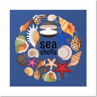 Sea shells illustration Posters and Art